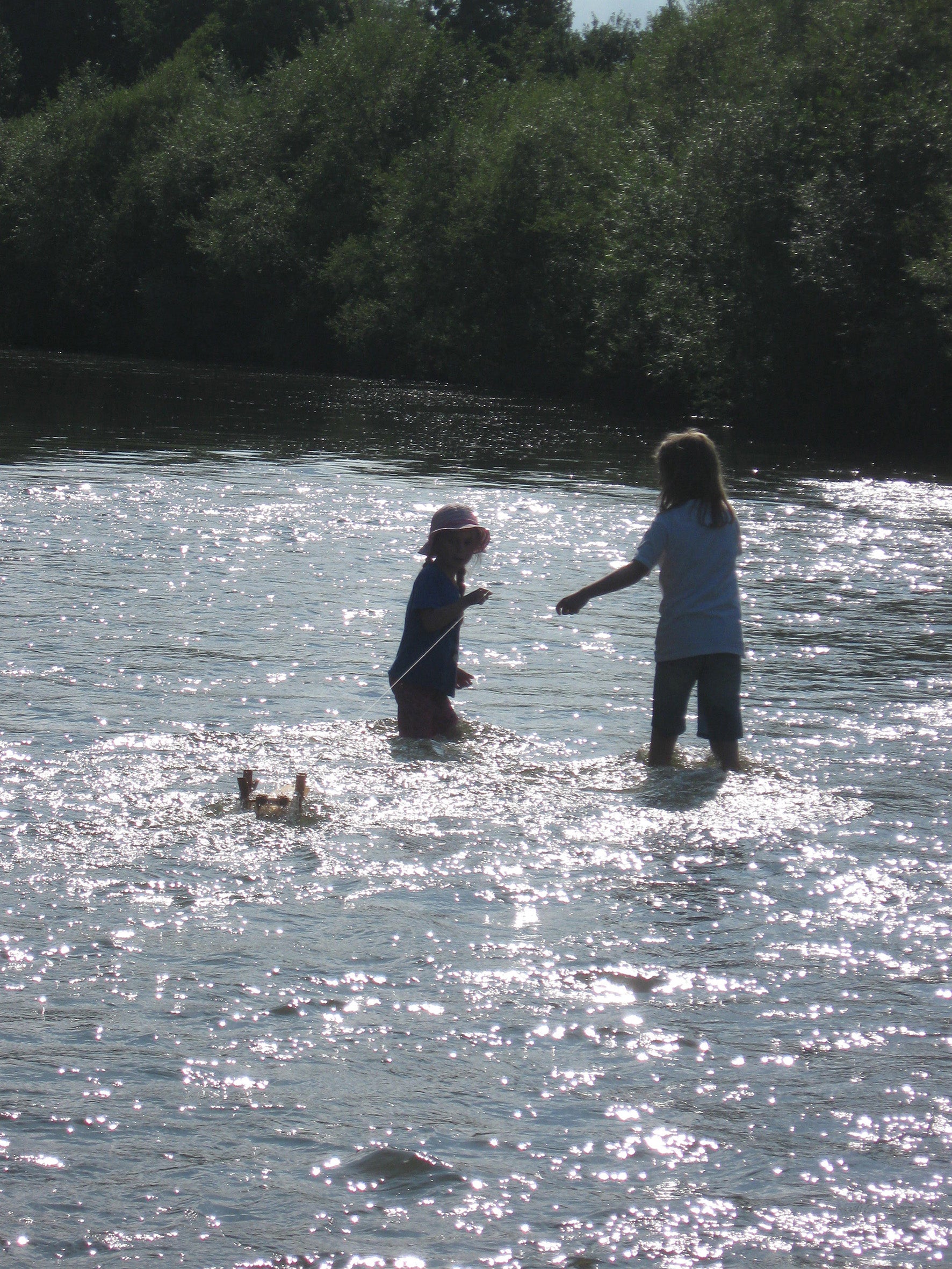 Holzbausatz Kraul Forelle