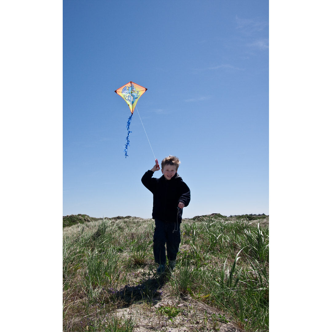 Drachen Invento Eddy Dragon 68 cm