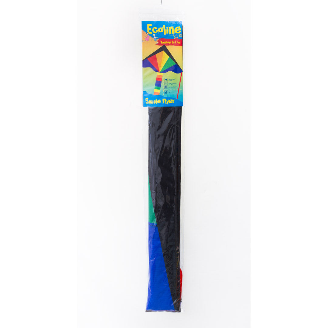 Drachen Invento Ecoline Simple Flyer Rainbow 120 cm