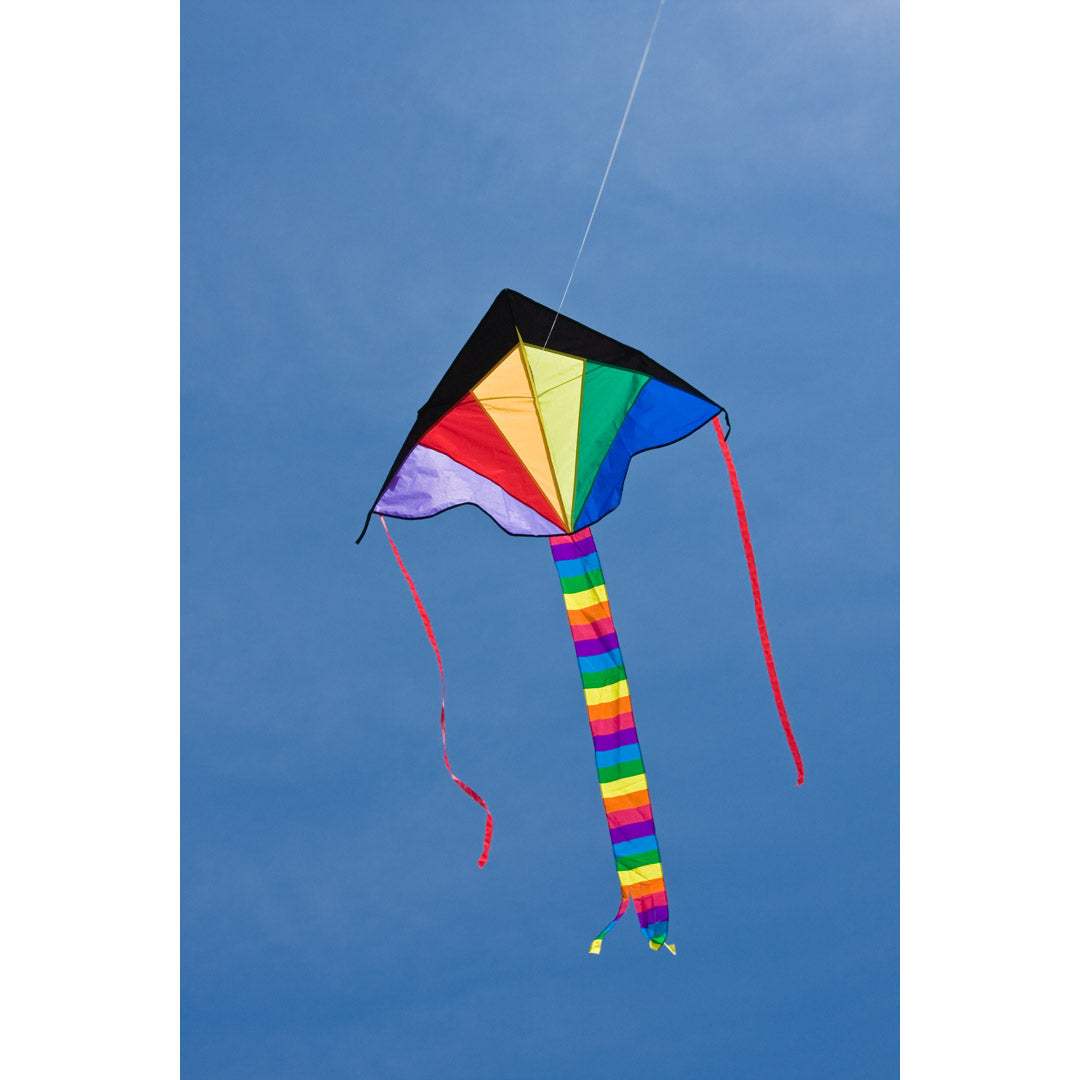 Drachen Invento Ecoline Simple Flyer Rainbow 120 cm