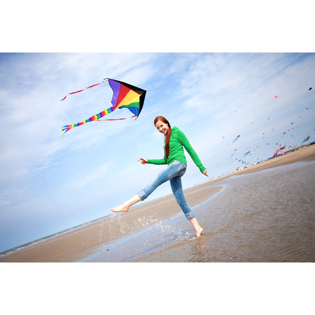 Drachen Invento Ecoline Simple Flyer Rainbow 120 cm