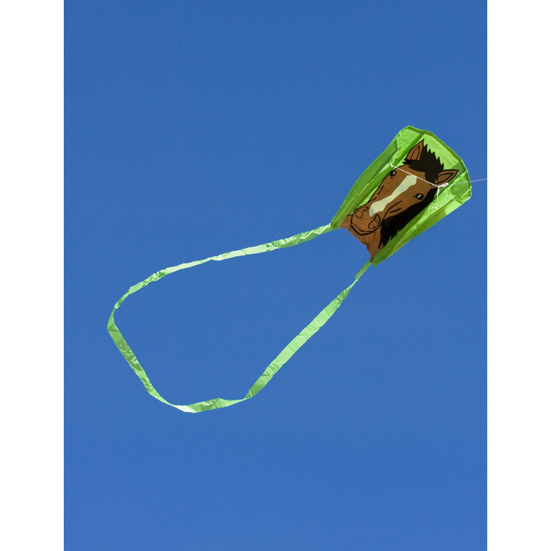 Drachen Invento Pocket Sled - Bronco