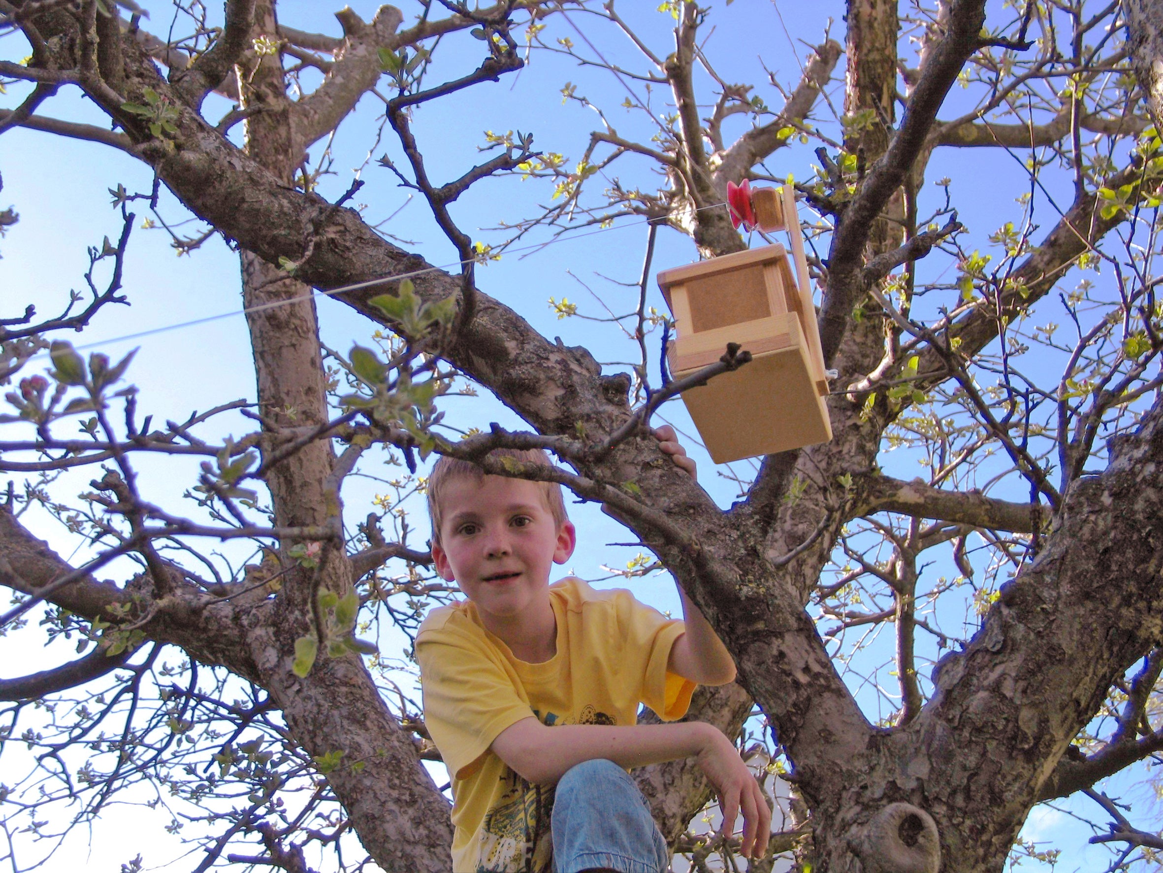 Holzbausatz Kraul Große Seilbahn Wagen mit Seilen