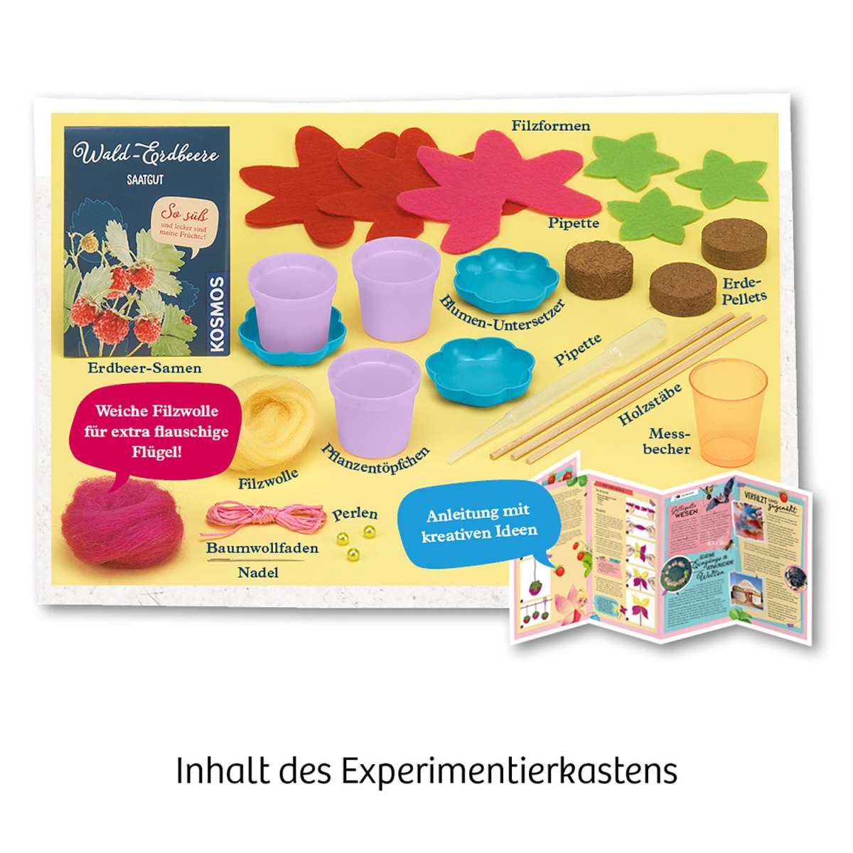 Biologie KOSMOS Feen-Erdbeeren