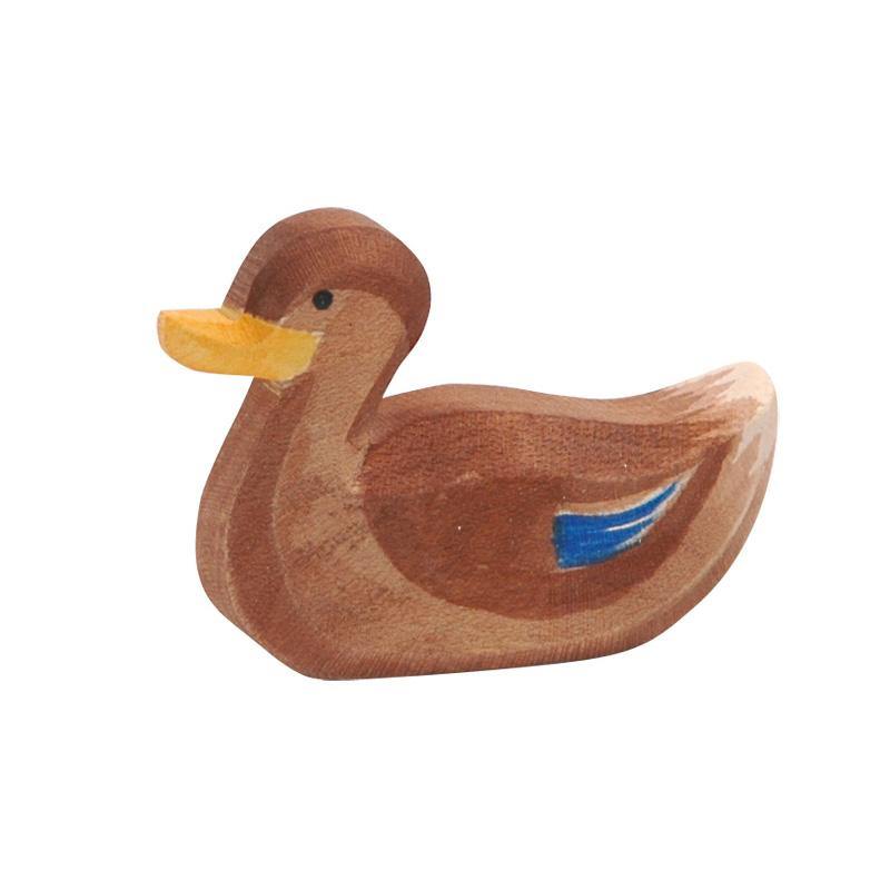 Ente schwimmend - WELTENTDECKER