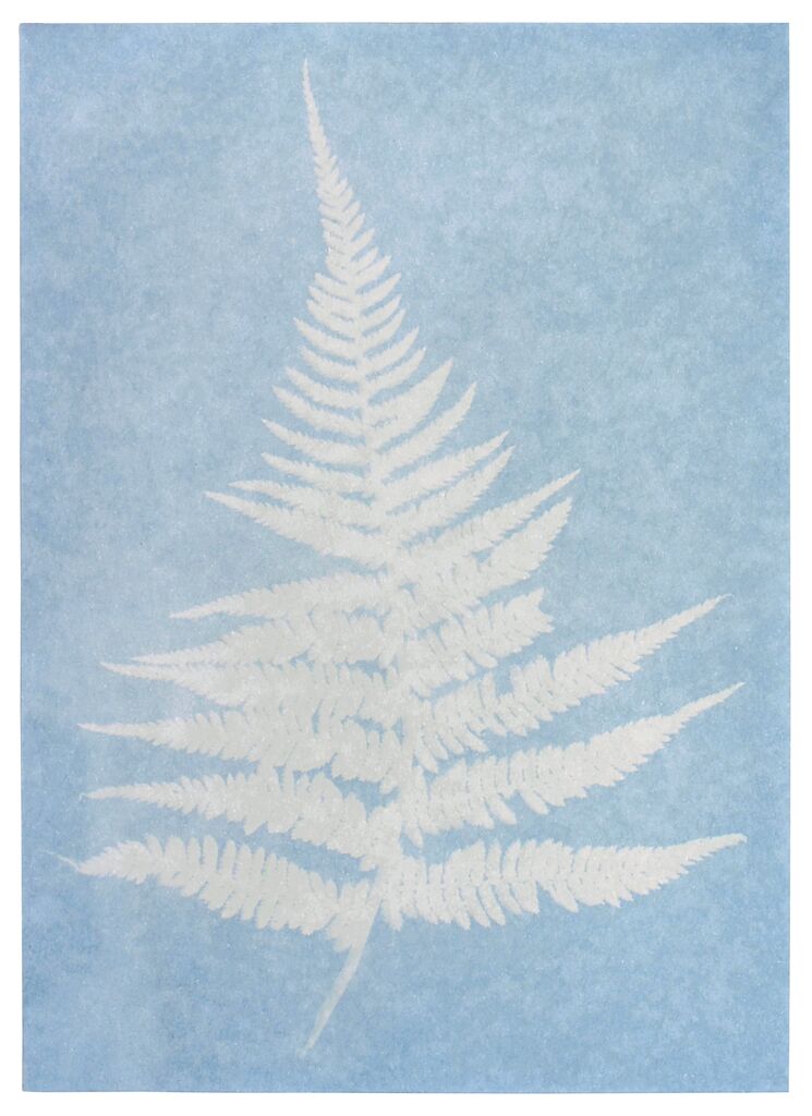 Experiment Moses Verlag PhänoMINT Sonnendruck-Papier