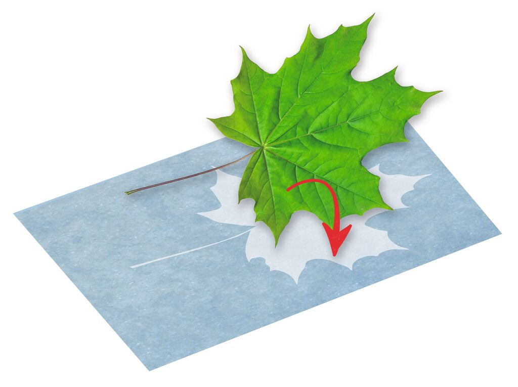 Experiment Moses Verlag PhänoMINT Sonnendruck-Papier