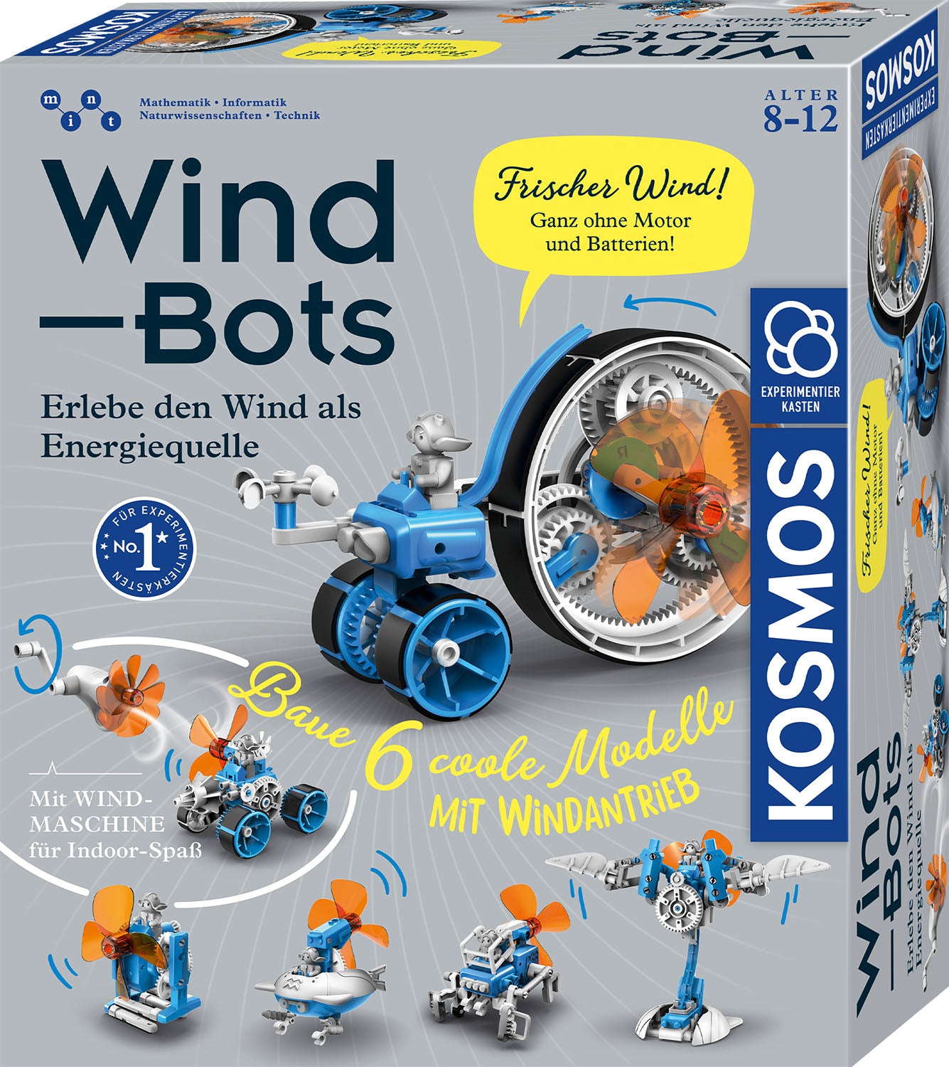 Experiment KOSMOS Wind Bots