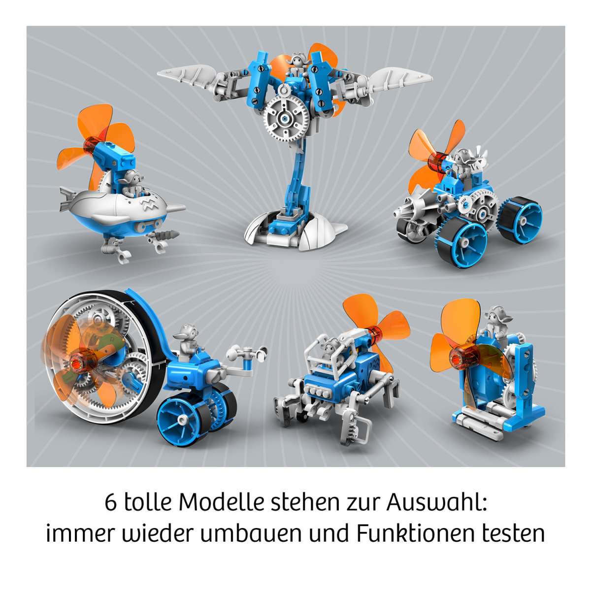Experiment KOSMOS Wind Bots