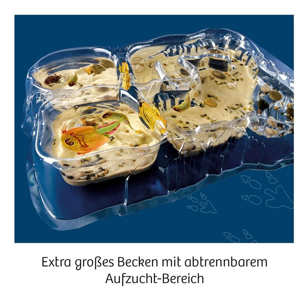 Biologie KOSMOS Triops-Welt