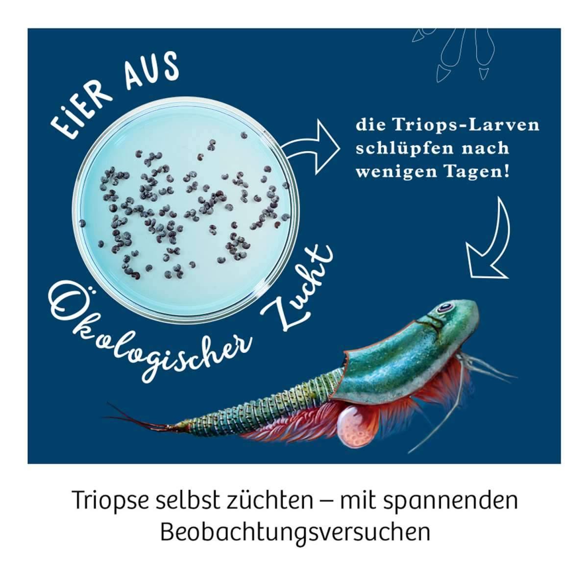 Biologie KOSMOS Triops-Welt
