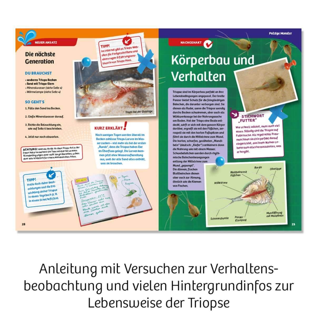 Biologie KOSMOS Triops-Welt