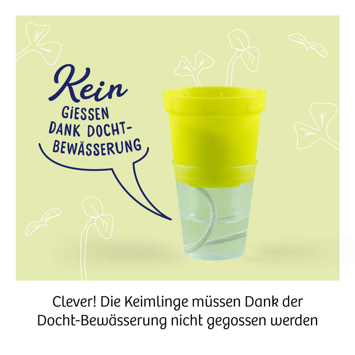 Biologie KOSMOS Microgreen-Garten