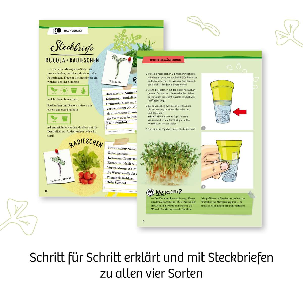 Biologie KOSMOS Microgreen-Garten