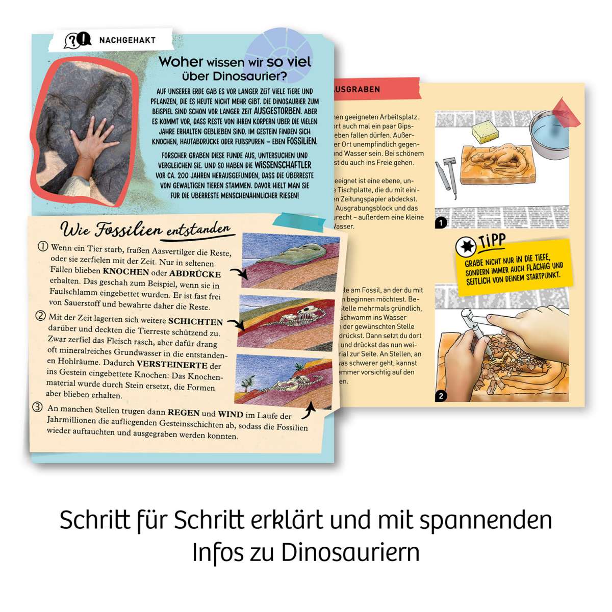 Experiment KOSMOS T-REX - 3D