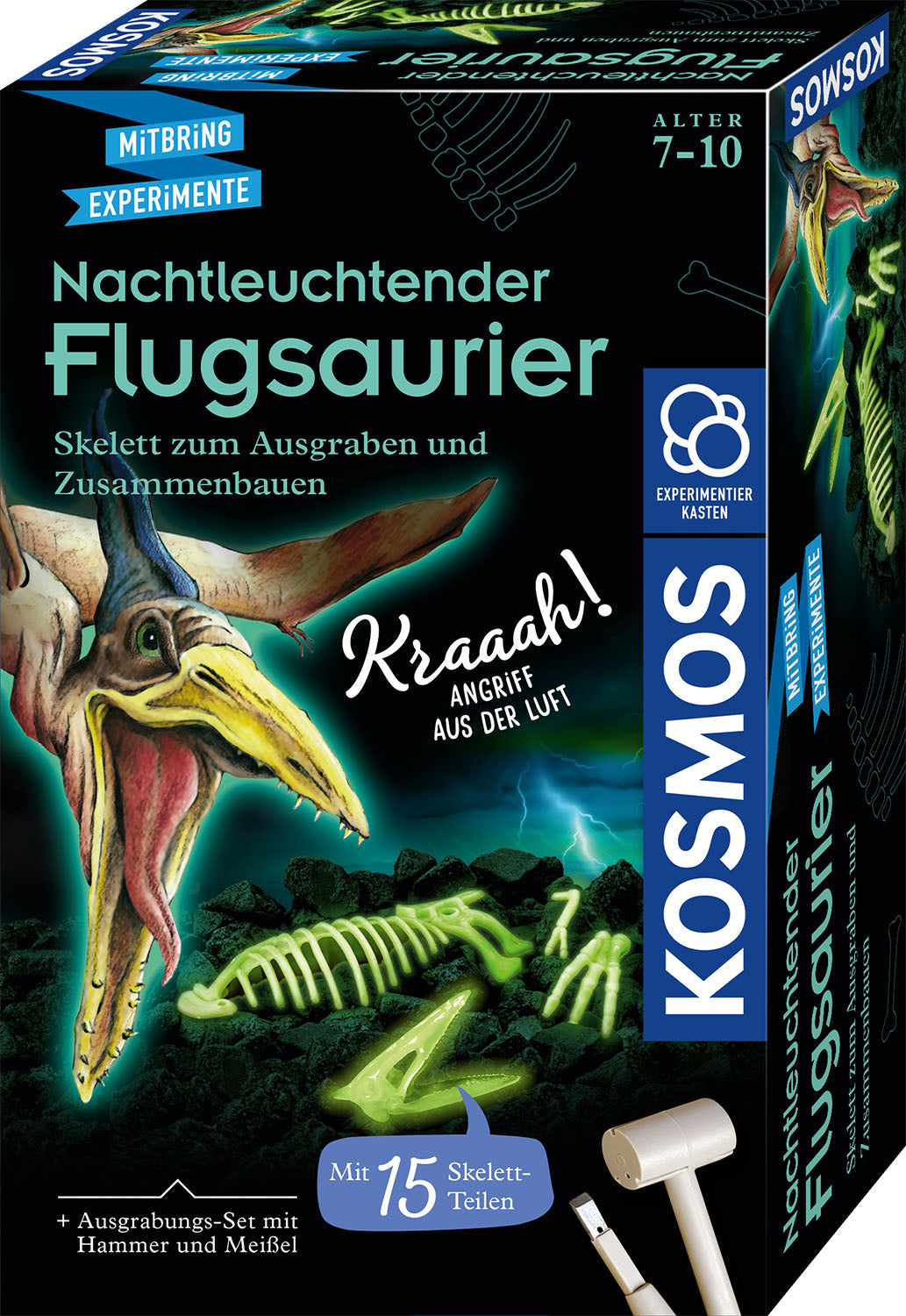 Experiment KOSMOS Nachtleuchtender Flugsaurier