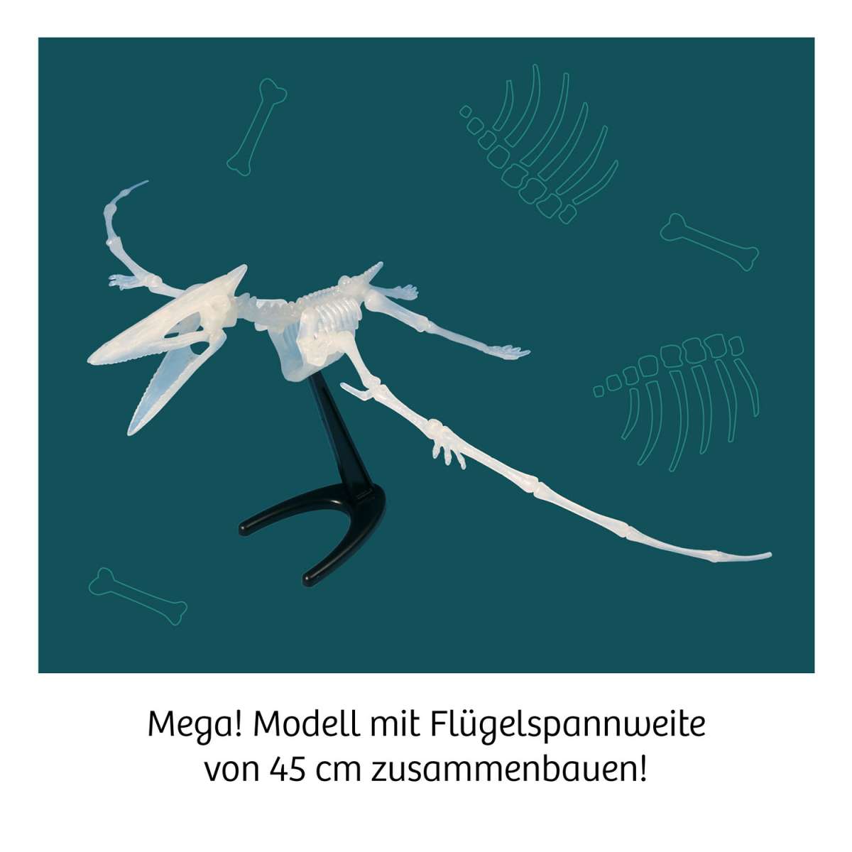 Experiment KOSMOS Nachtleuchtender Flugsaurier