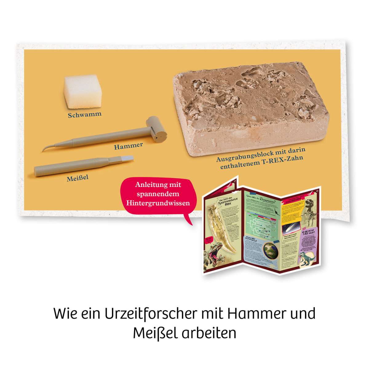 Experiment KOSMOS T-rex - Zahn