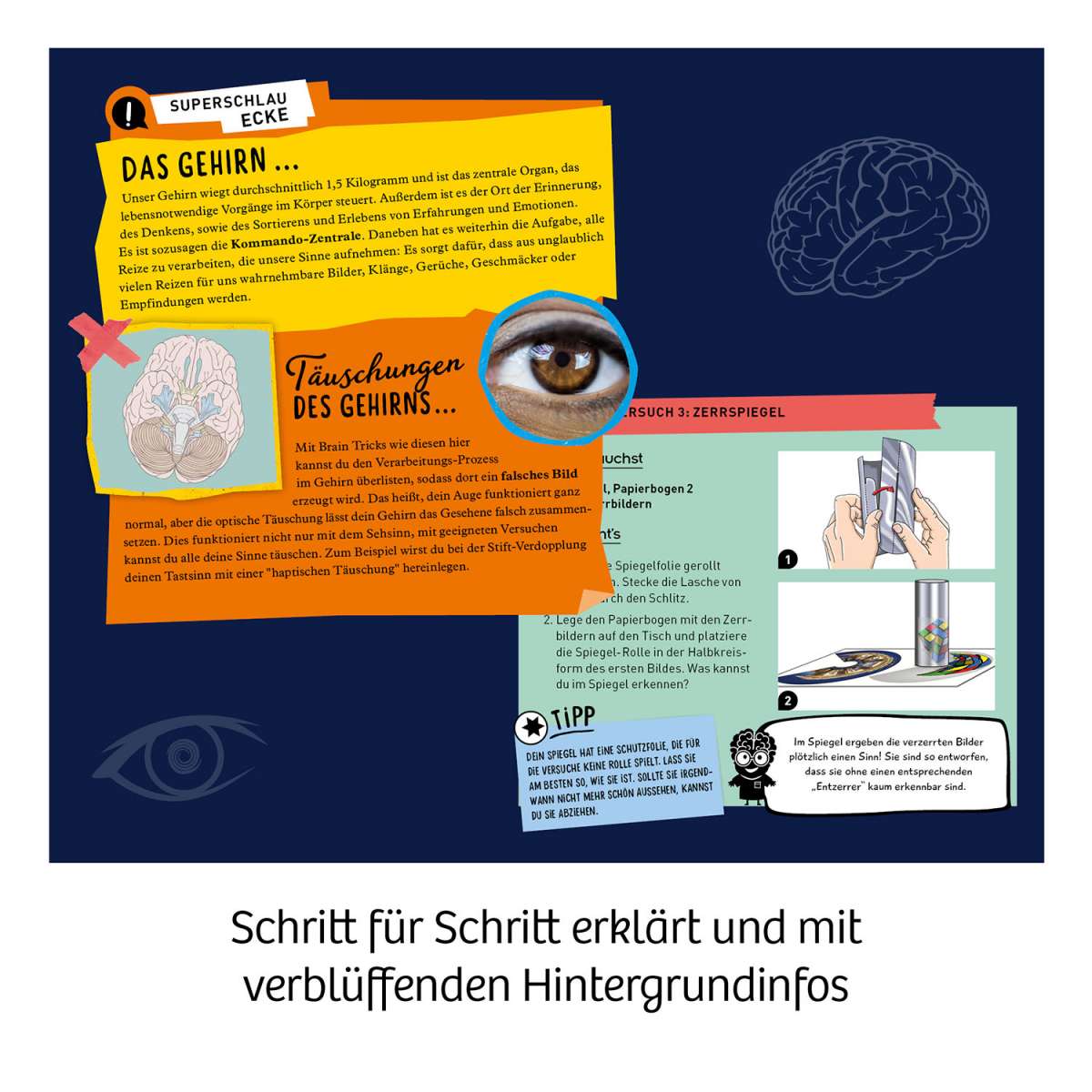 Experiment KOSMOS Fun Science Brain Tricks