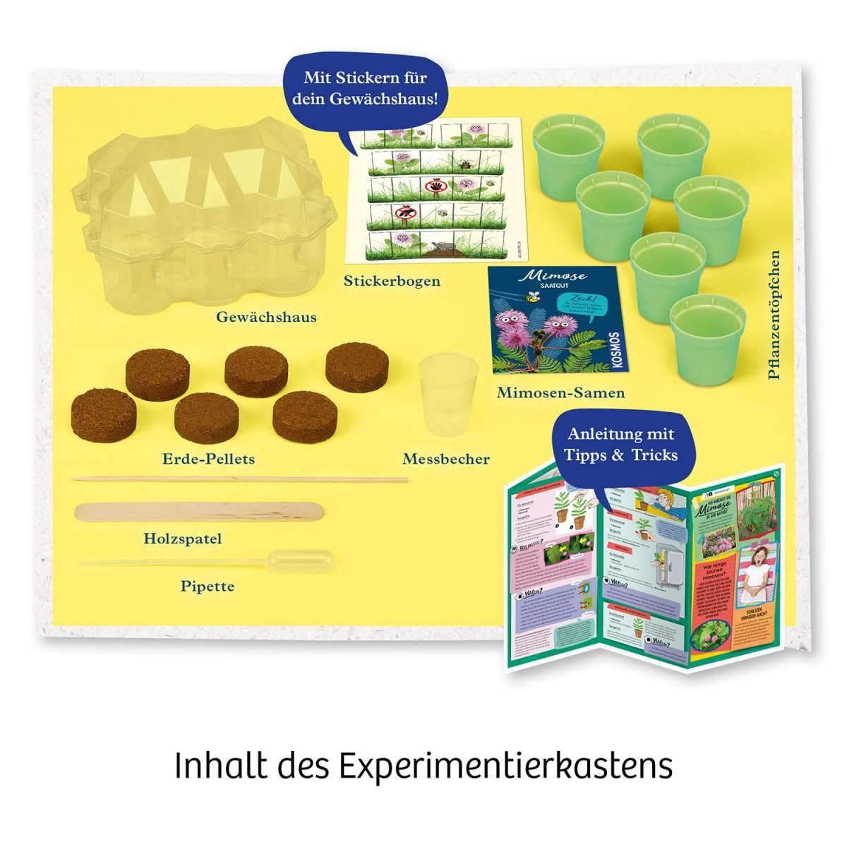 Biologie KOSMOS Mimosen-Garten