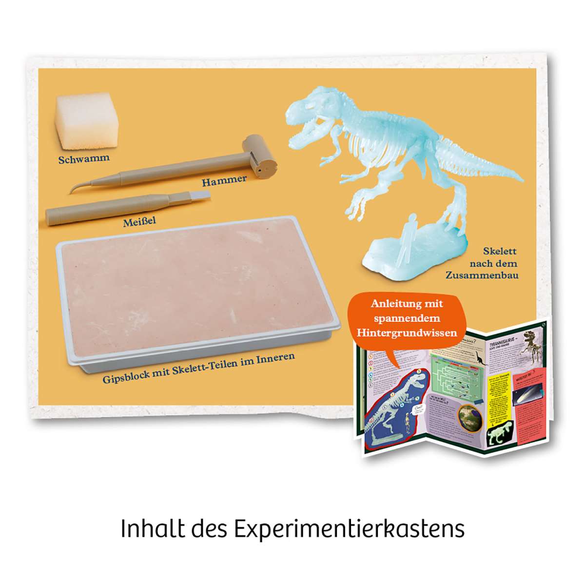 Experiment KOSMOS T-REX nachtleuchtend