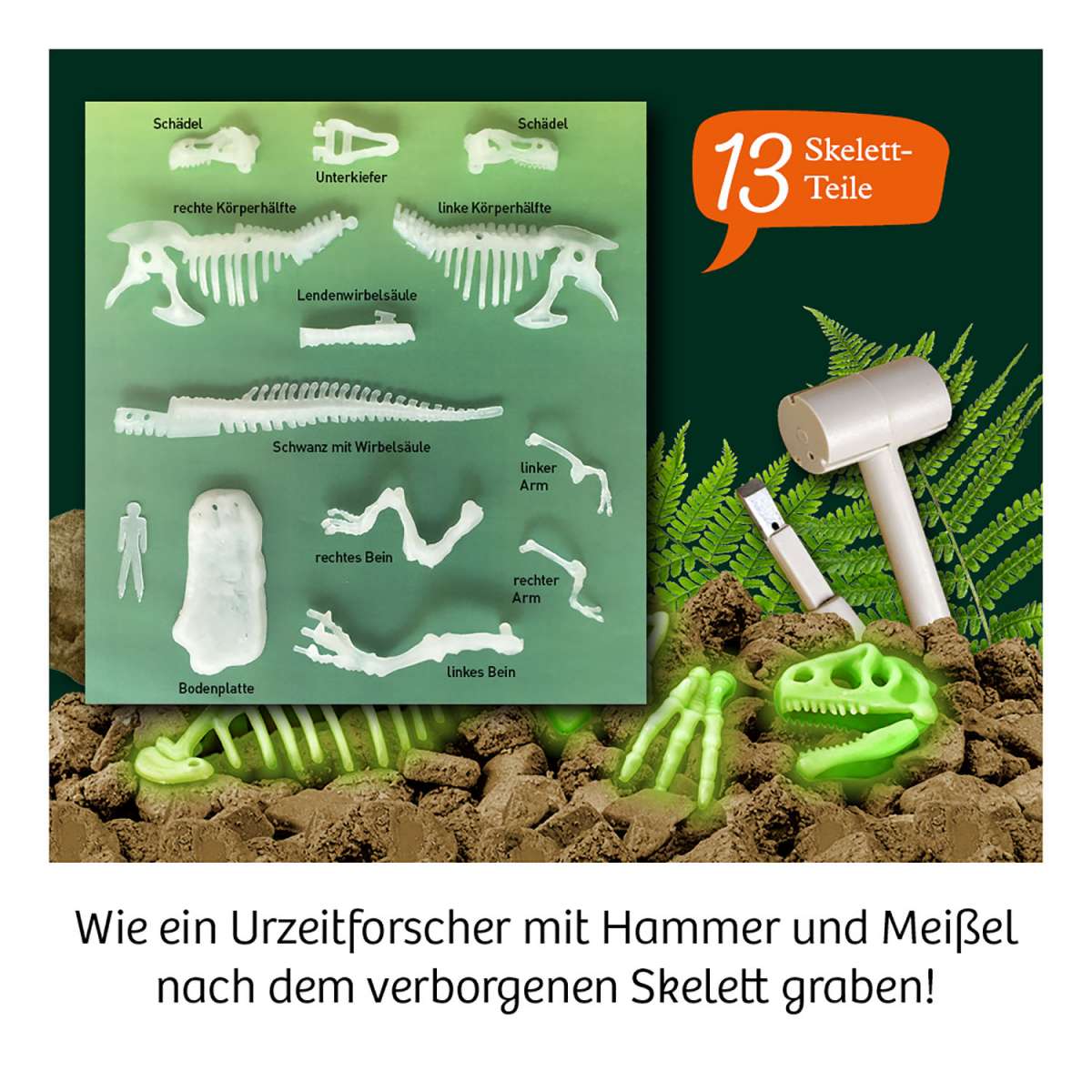 Experiment KOSMOS T-REX nachtleuchtend