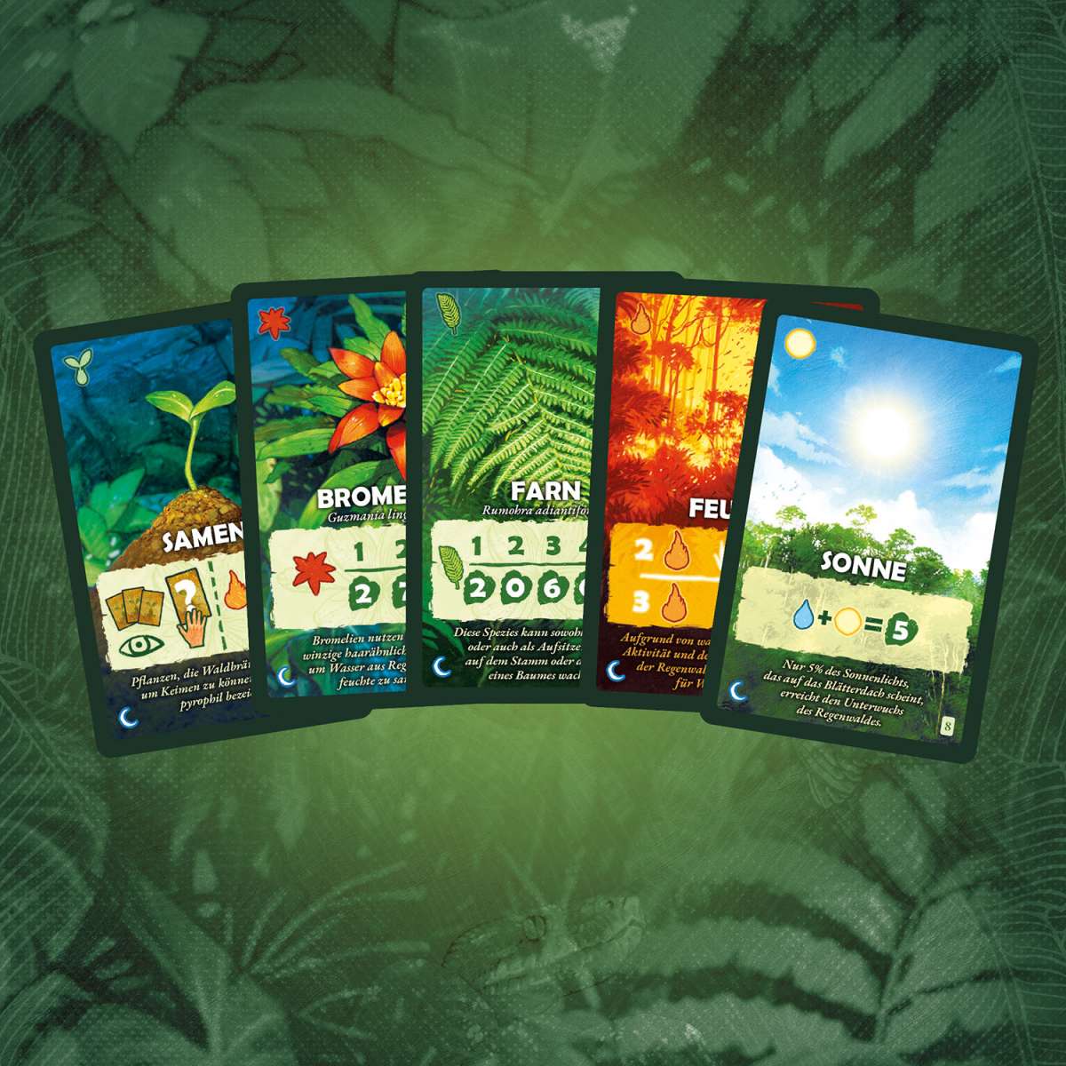 Gesellschaftsspiel KOSMOS Baumkronen - Unter den Wipfeln des Regenwalds