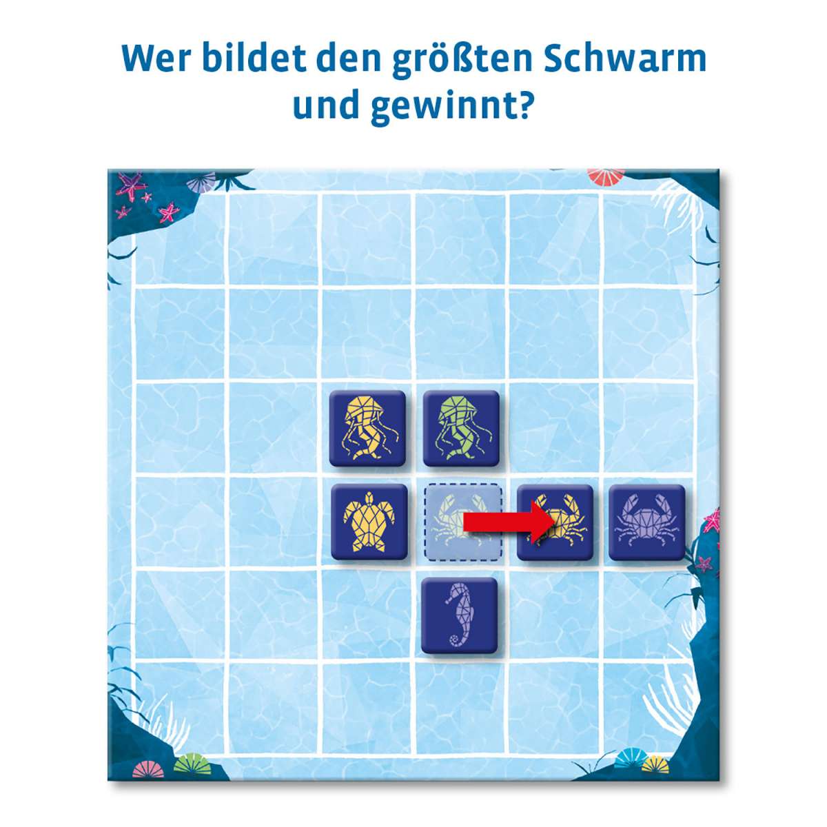 Gesellschaftsspiel KOSMOS Aqualin