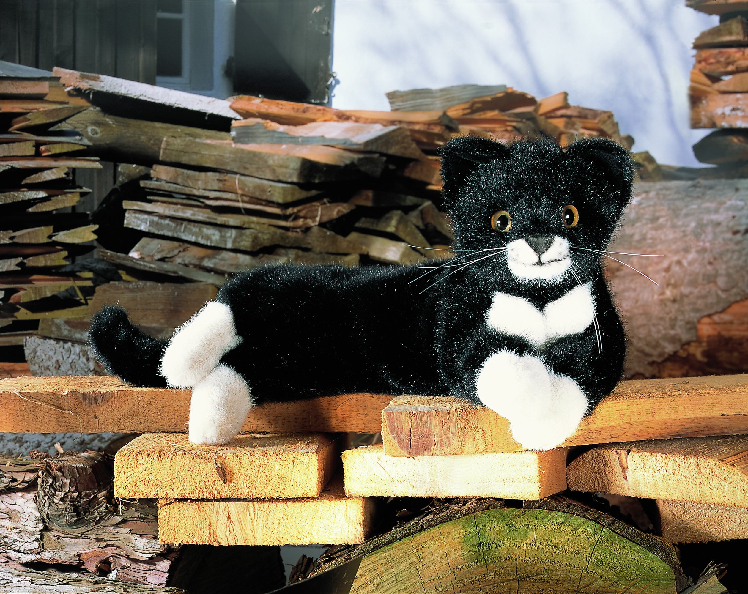 Kleine Katze "Fini"  liegend