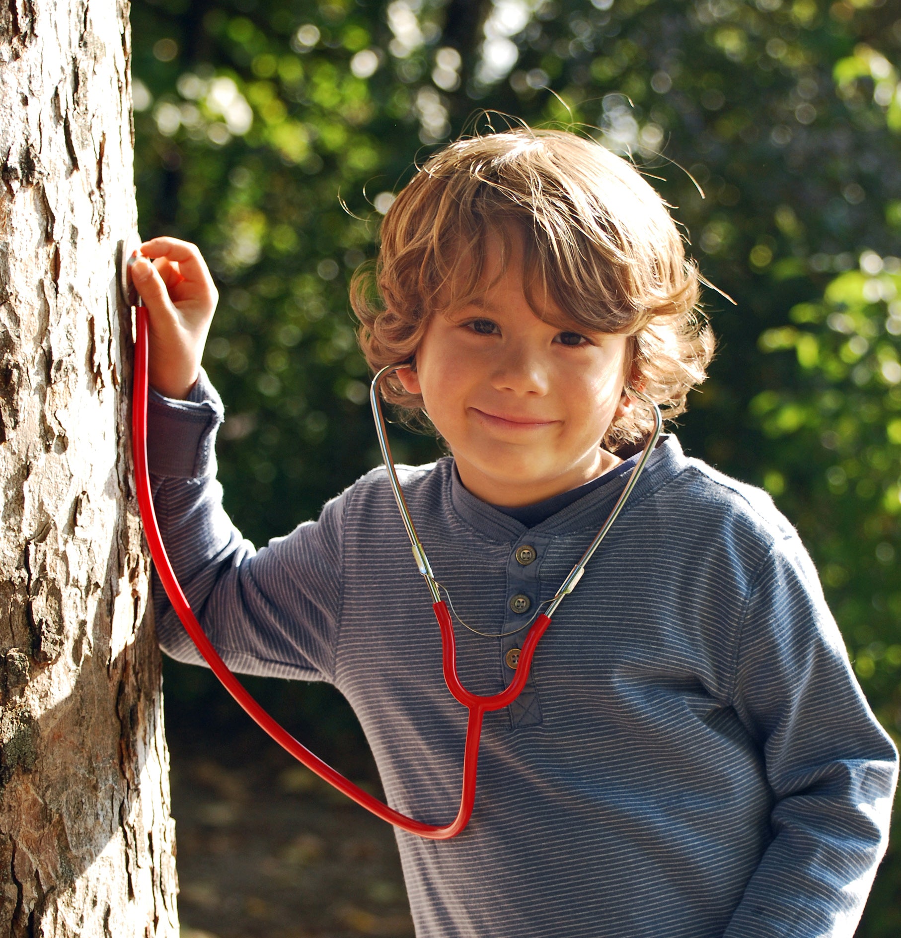 Experiment Kraul Stethoskop