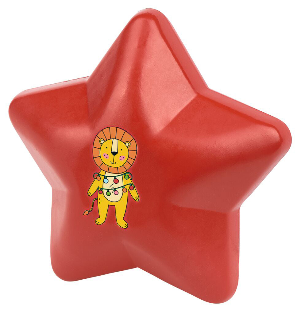 Zauberstern mit Schmuck