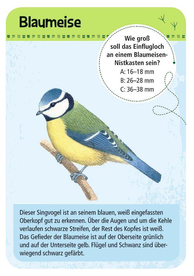 Expedition Natur 50 heimische Vögel - WELTENTDECKER