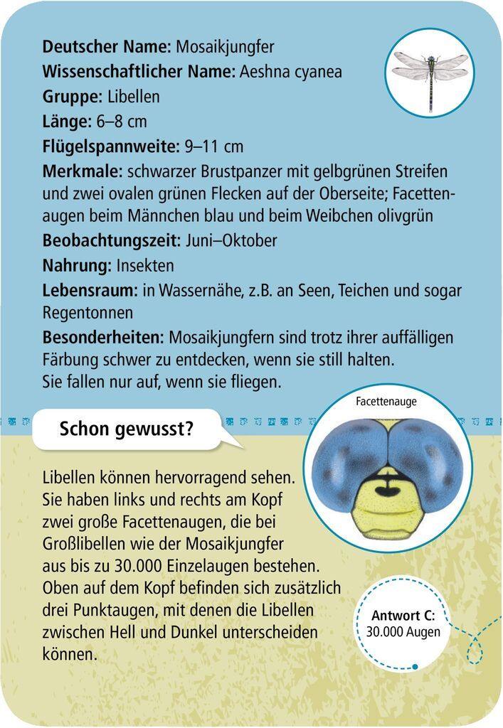 Expedition Natur 50 heimische Insekten & Spinnen - WELTENTDECKER