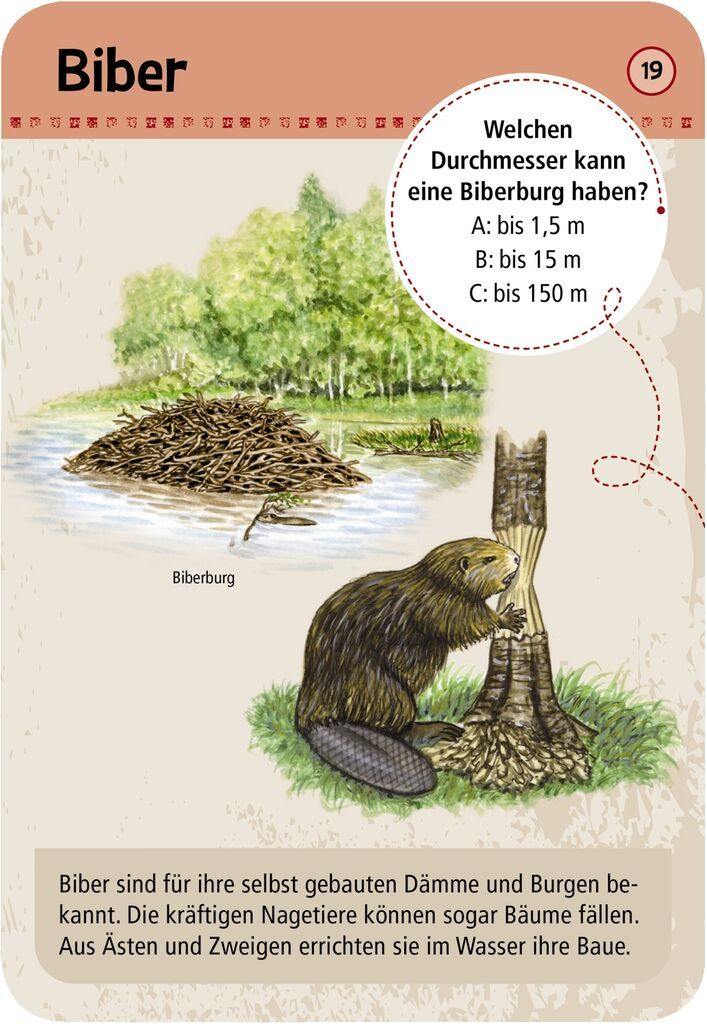 Moses 50 Karten / Pocket Quiz Moses Verlag Expedition Natur 50 Tierspuren