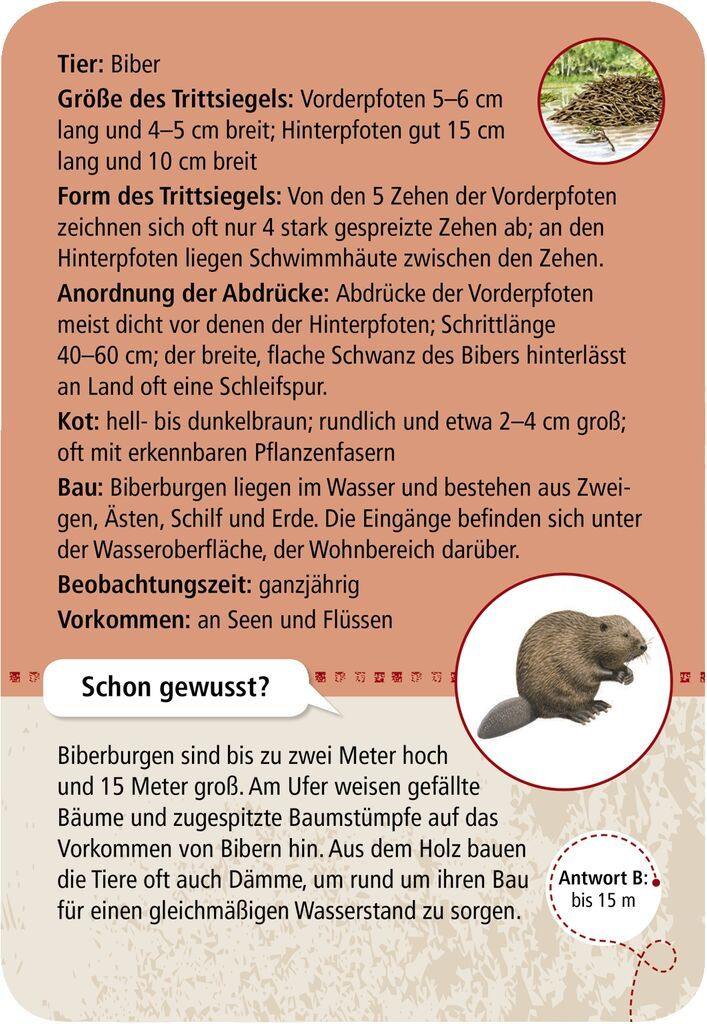Moses 50 Karten / Pocket Quiz Moses Verlag Expedition Natur 50 Tierspuren