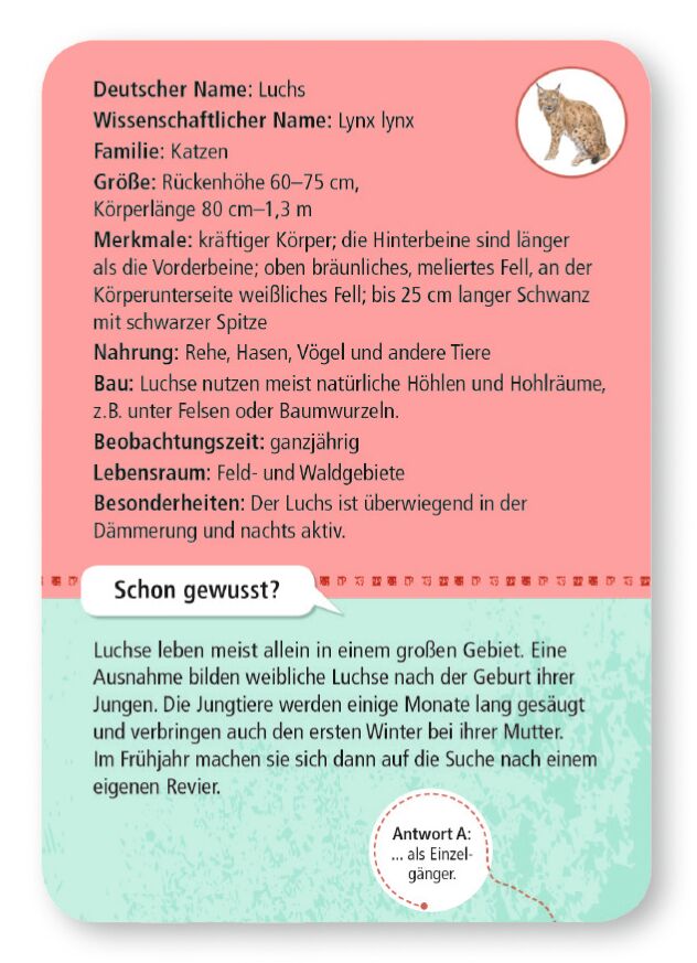 Moses 50 Karten / Pocket Quiz Moses Verlag Expedition Natur 50 heimische Wald- & Wildtiere