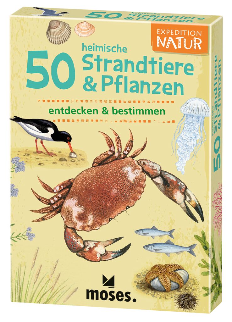 Moses 50 Karten / Pocket Quiz Moses Verlag Expedition Natur 50 heimische Strandtiere & Pflanzen