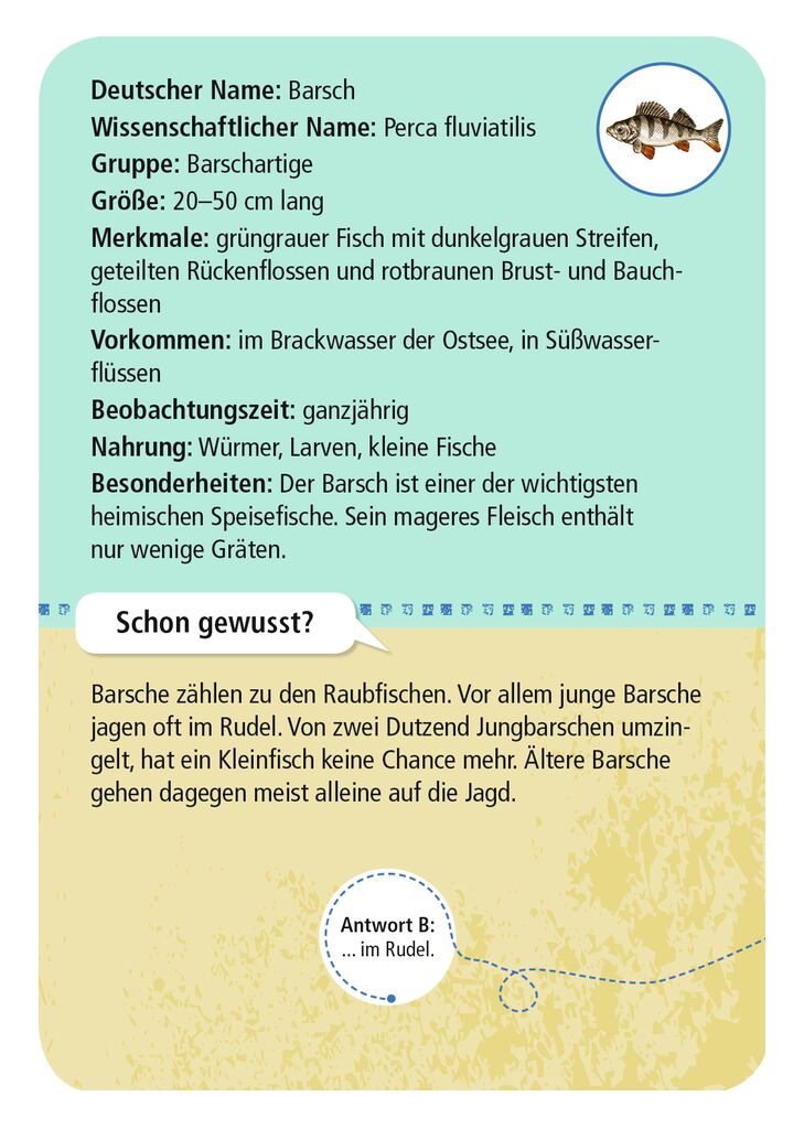 Moses 50 Karten / Pocket Quiz Moses Verlag Expedition Natur 50 heimische Strandtiere & Pflanzen