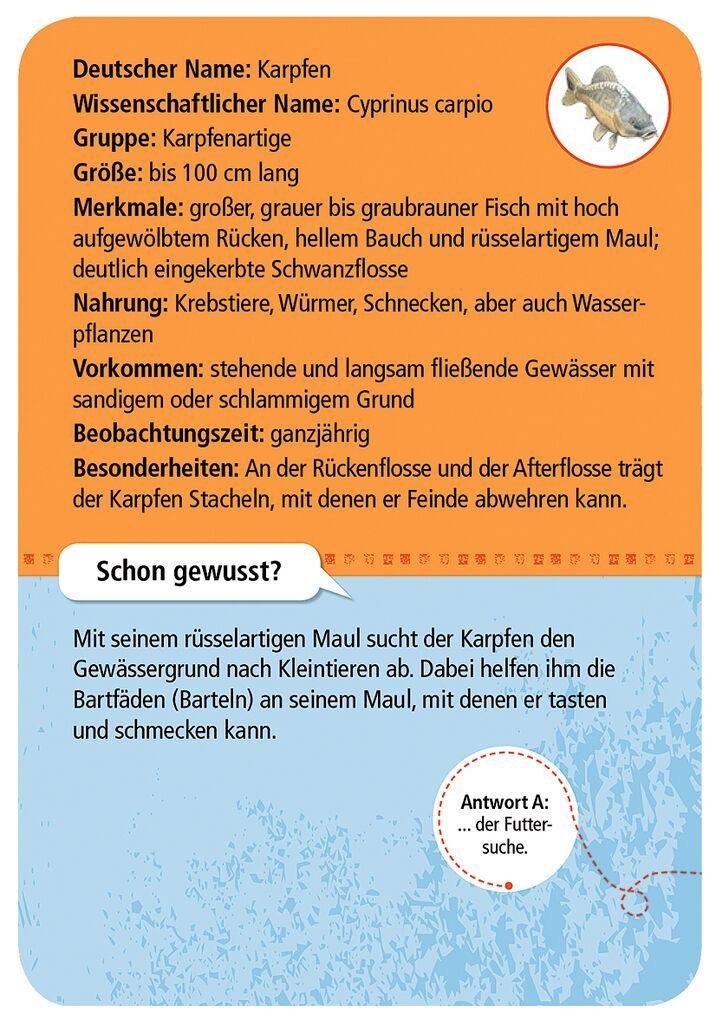 Moses 50 Karten / Pocket Quiz Moses Verlag Expedition Natur 50 heimische Tiere & Pflanzen an Bach & Teich