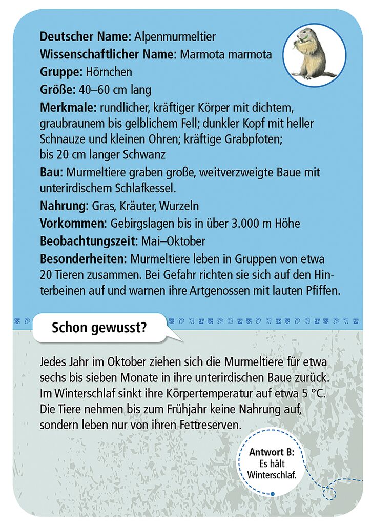 Moses 50 Karten / Pocket Quiz Moses Verlag Expedition Natur 50 heimische Tiere & Pflanzen im Gebirge