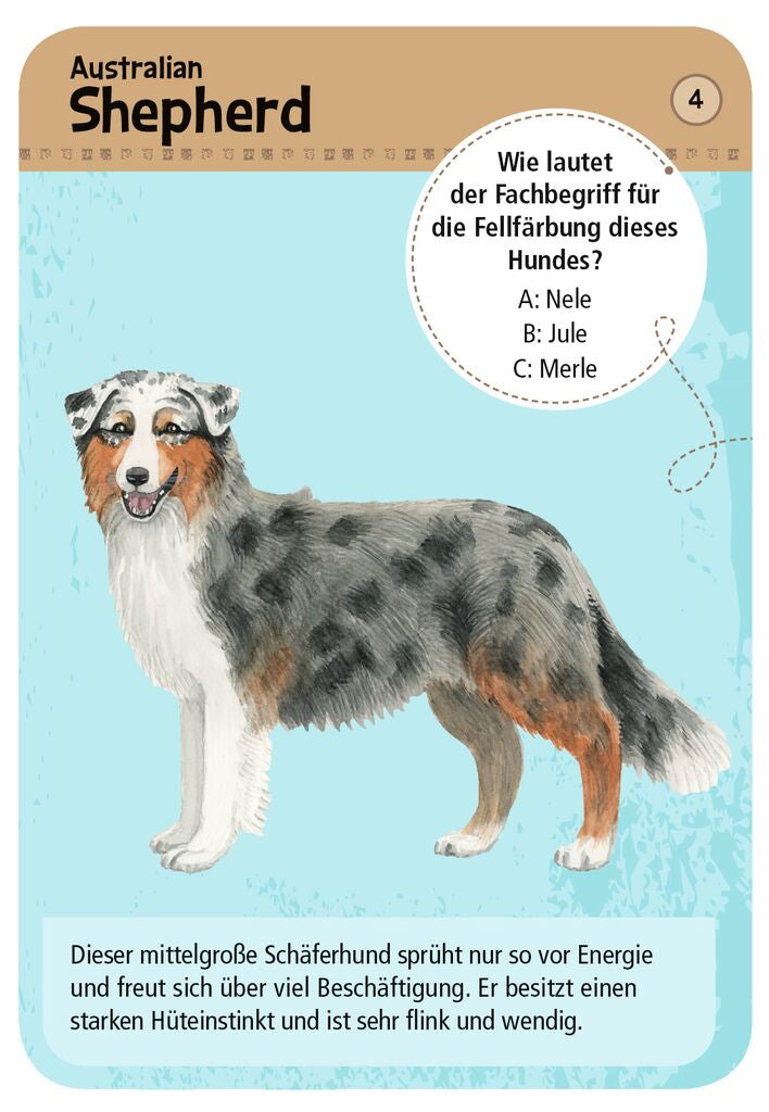 Moses 50 Karten / Pocket Quiz Moses Verlag Expedition Natur 50 Hunde