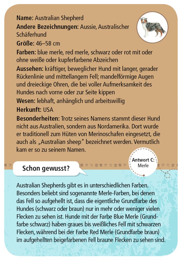 Moses 50 Karten / Pocket Quiz Moses Verlag Expedition Natur 50 Hunde