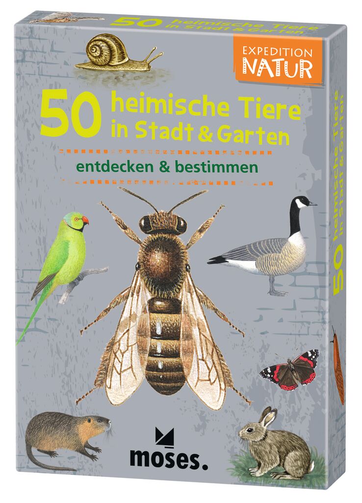 Moses 50 Karten / Pocket Quiz Moses Verlag Expedition Natur 50 heimische Tiere in Stadt & Garten