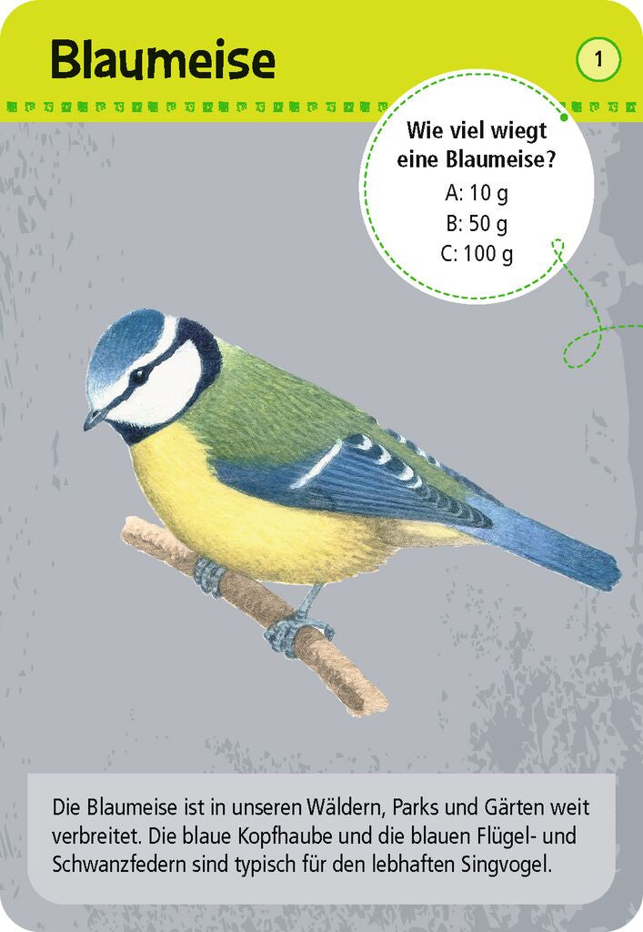 Moses 50 Karten / Pocket Quiz Moses Verlag Expedition Natur 50 heimische Tiere in Stadt & Garten