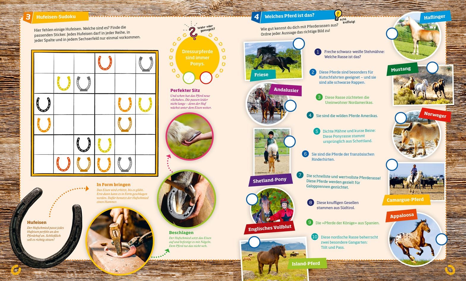 Buch Tessloff WAS IST WAS Rätseln und Stickern: Pferde