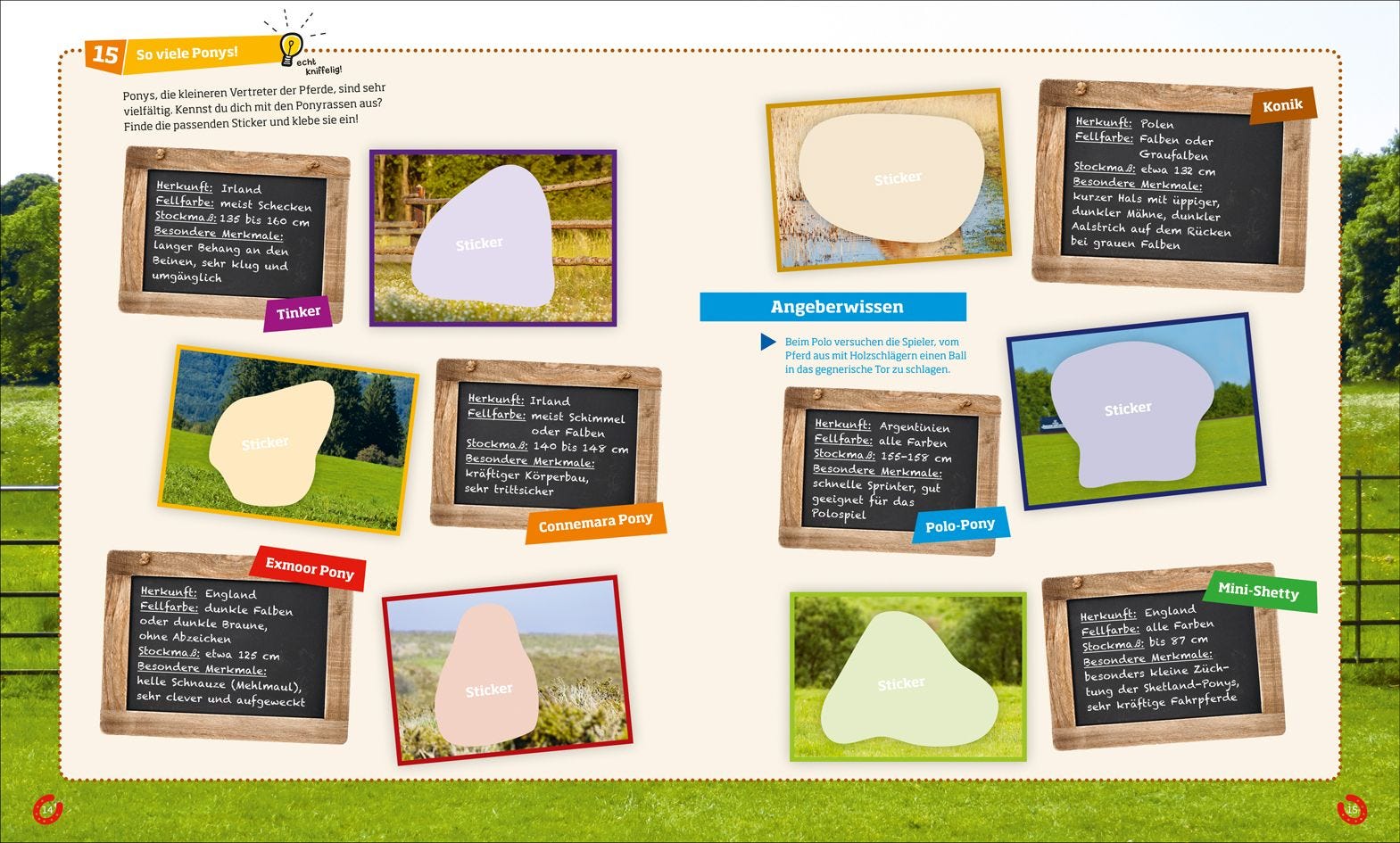 Buch Tessloff WAS IST WAS Rätseln und Stickern: Pferde