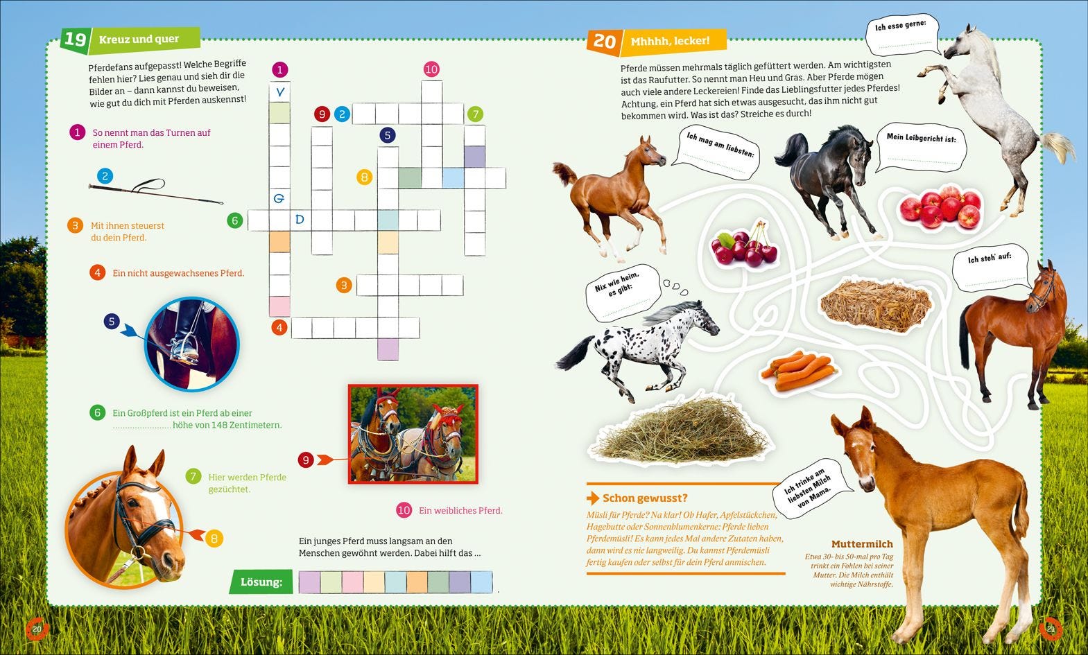 Buch Tessloff WAS IST WAS Rätseln und Stickern: Pferde