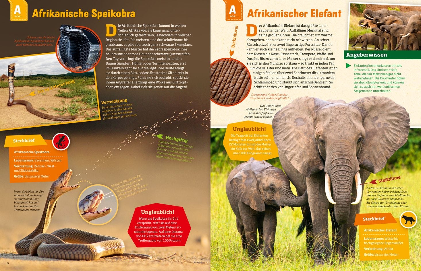 Buch Tessloff WIW Geniale Tiere ... und ihre Tricks!