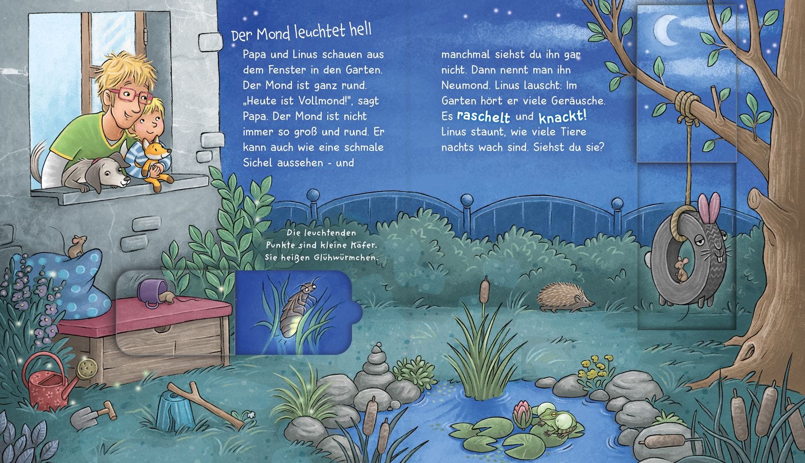 Sachbuch Tessloff WAS IST WAS Meine Welt Bd. 3, Was passiert in der Nacht?