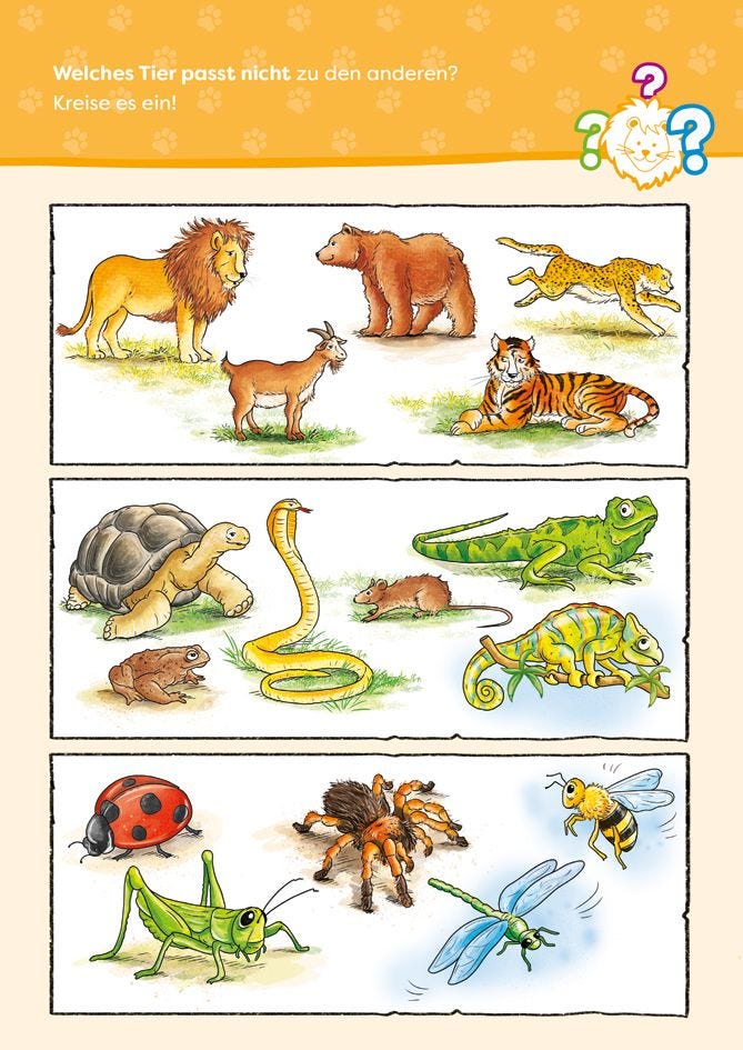 Tierischer Rätselspaß. Zoo